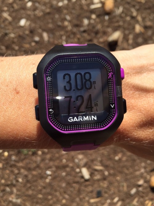 Garmin Forerunner 25