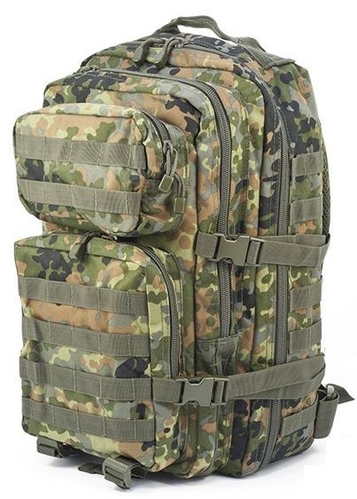 Sturm Assault L 36