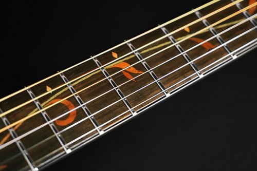 Ibanez AE275