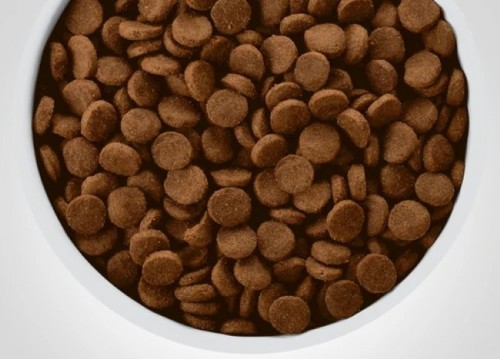 Hills PD Canine z/d Allergy & Skin Care 1.5 kg