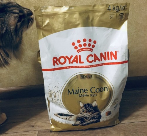 Royal Canin Maine Coon Adult 2 kg