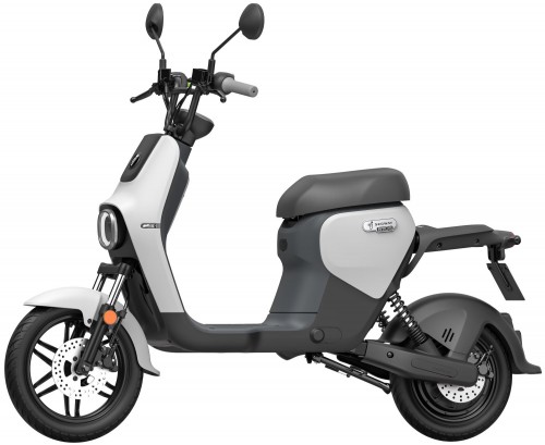 Ninebot Segway eMoped B110S