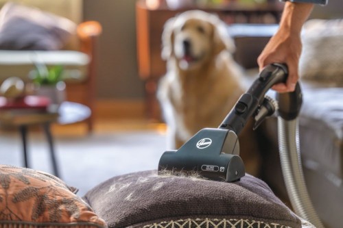 Hoover H-Energy 300 HE 722 PET