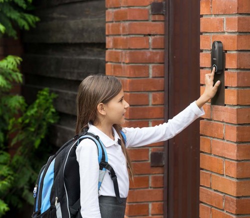 Reolink Video Doorbell PoE