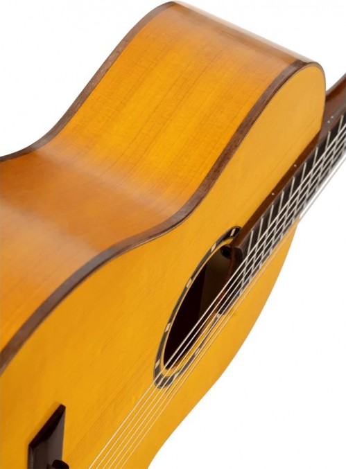 Ortega R170F