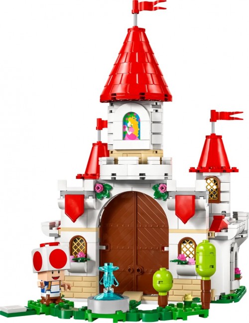 Lego Battle with Roy at Peachs Castle 71435