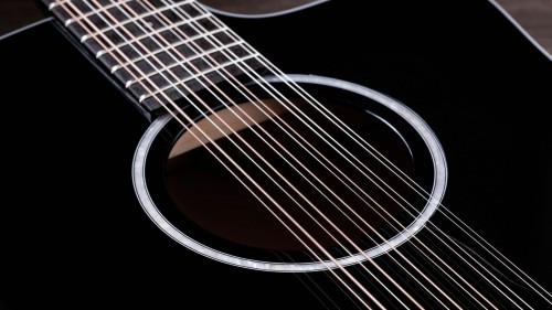 Taylor 250ce Plus