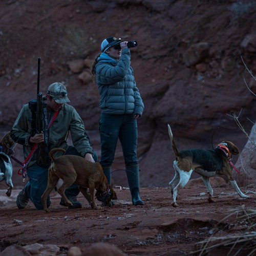 Pulsar Telos LRF XL50