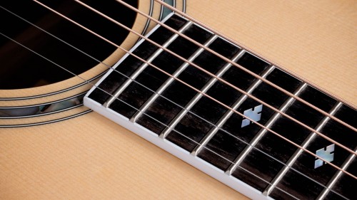 Taylor Legacy 810e