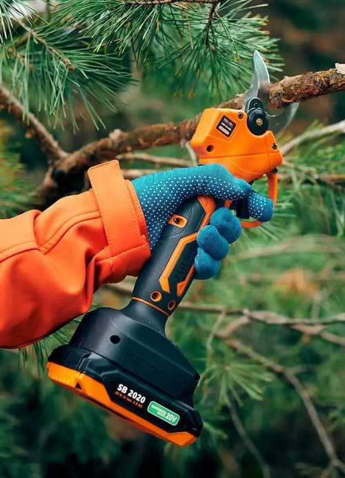 Sequoia SBP2030B
