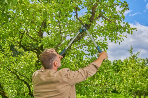 GARDENA EasyCut L 12031-20