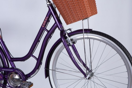 Dorozhnik Coral Vbr 2025