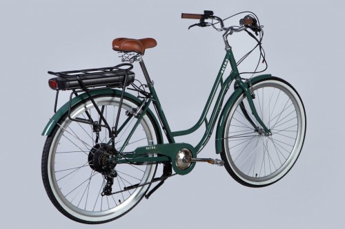 Dorozhnik eRetro Vbr FR 500W 2025