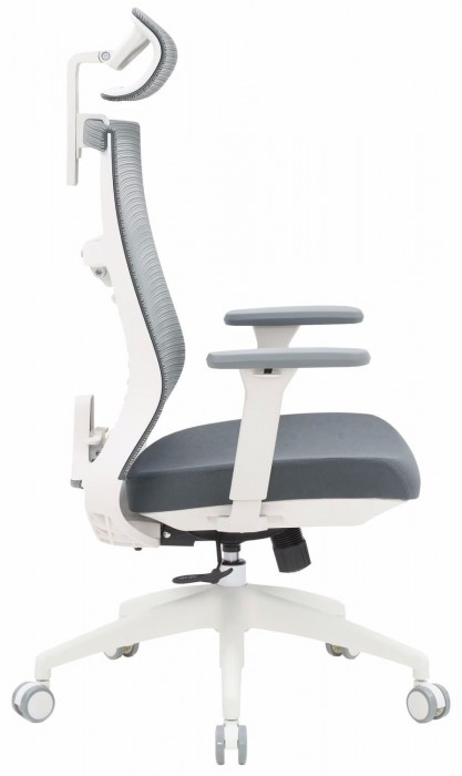 OfficePro Balance OC550