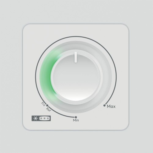 Candy CNCHQ 4S520 EW