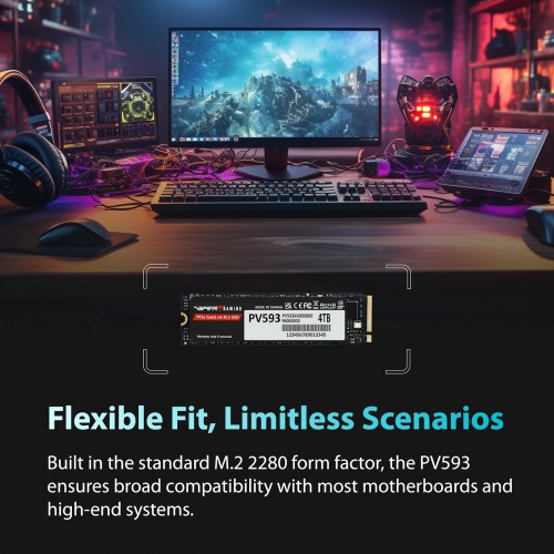 Patriot Memory PV593P4TBM28H