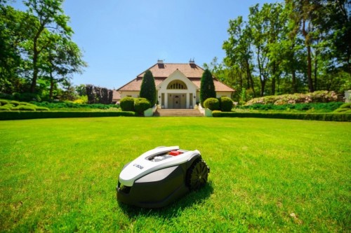 Cedrus C-MOW-M6+