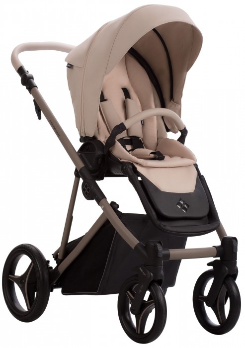 Bebetto Pelpasso 2 in 1