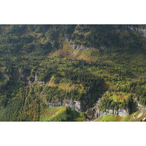 Sony 28-70mm f/3.5-5.6 FE OSS II