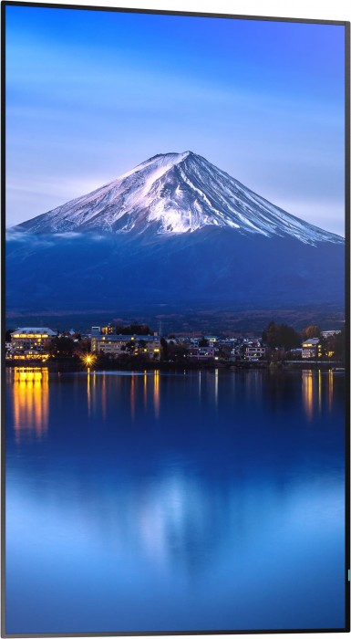 Sharp MultiSync P656