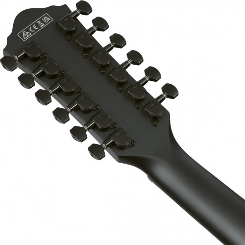 Ibanez AEG1221