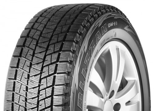 Bridgestone Blizzak DM-V1