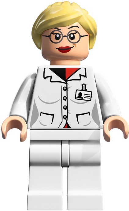 Lego Batman Arkham Asylum Breakout 10937