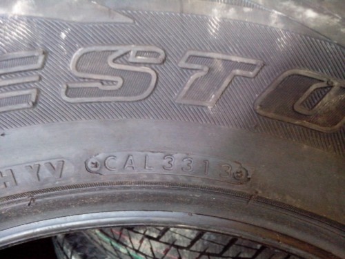 Bridgestone Blizzak DM-V1