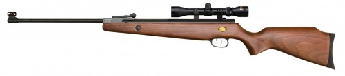 Beeman Teton (3-9x32) Sniper AR