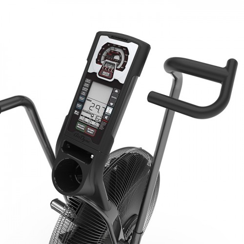 Schwinn Airdyne AD8