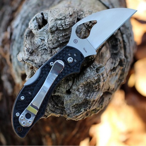 Spyderco Byrd Robin 2 Wharncliffe