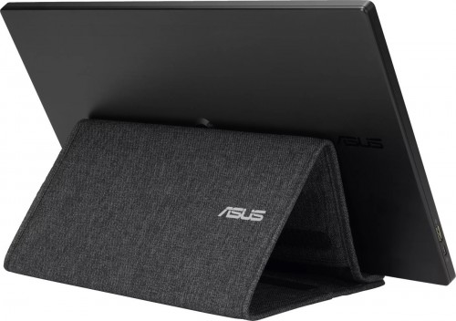 Asus ZenScreen MB166B