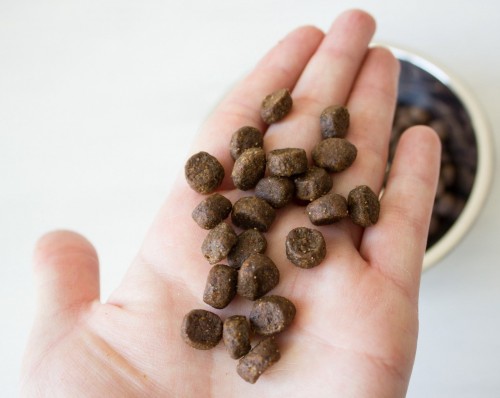 Leonardo Adult Duck 2 kg