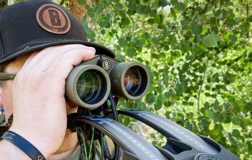 Bushnell Prime 12x50