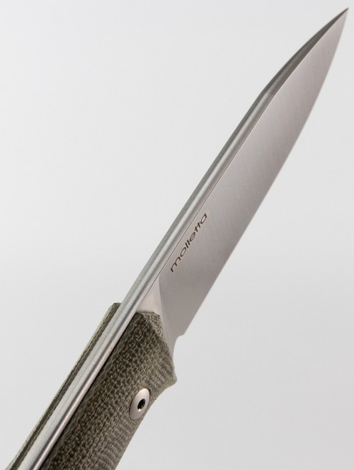 Lionsteel B35 CVG