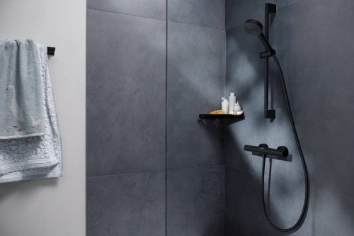 Hansgrohe Ecostat Fine 13324000