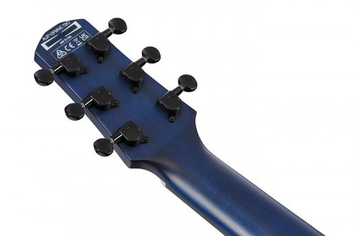 Ibanez AUP10FMNE
