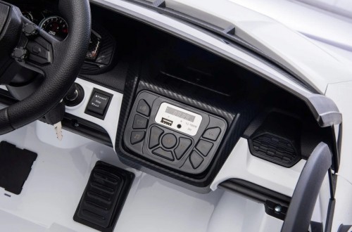 Ramiz Lamborghini Revuelto XL