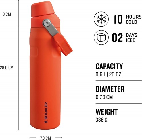 Stanley IceFlow Fast Flow Bottle 0.6