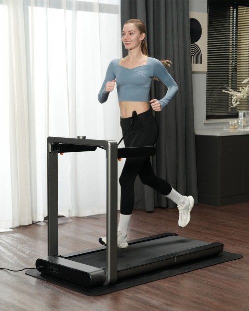 KingSmith Fitness WalkingPad X214