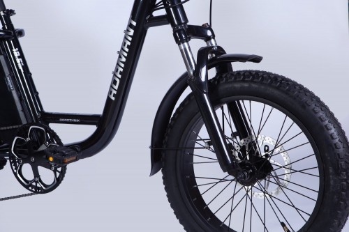 Dorozhnik eAdamant DD FR 500W 2025