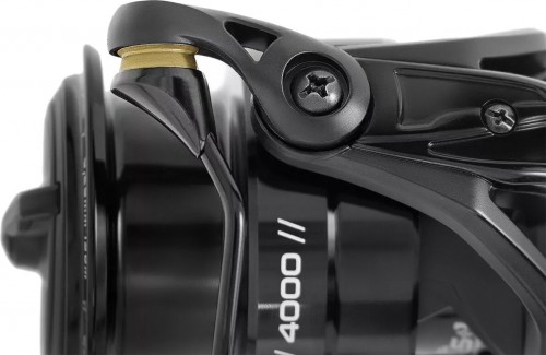 Brain Black Pond 3000