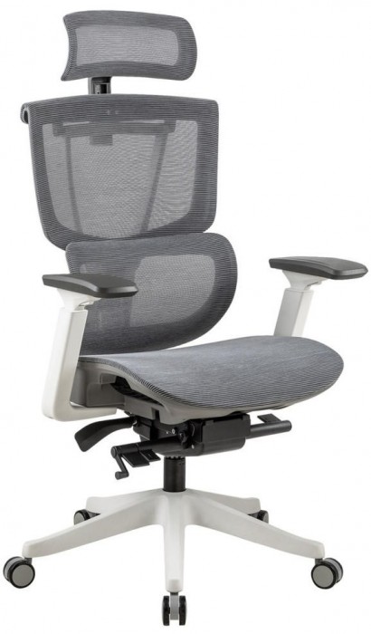 ADAPWORK S2 Mesh Senior ErgoChair