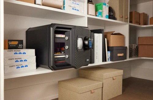 Master Lock FPW082FTCML