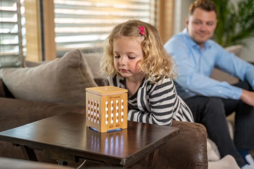 Truelife Air D7 Bamboo