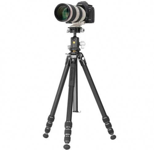 Vanguard VEO 5 264AB-160S