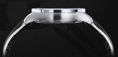 Cimier 2499-SS021