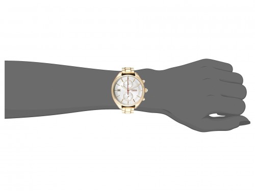 FOSSIL CH 2976