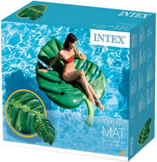 Intex 58782