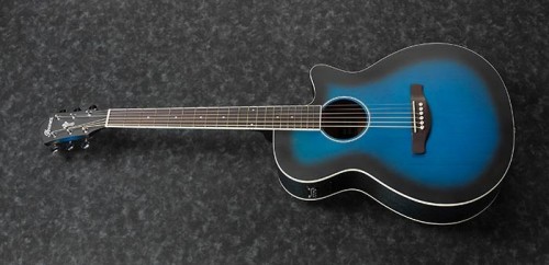 Ibanez AEG7